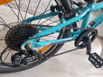 Scott Contessa 20 - 8