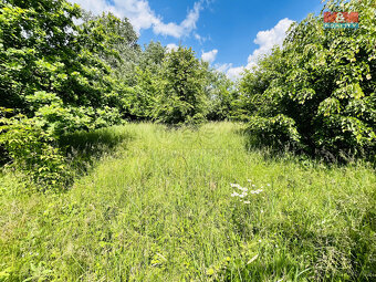 Prodej pozemku, 1026 m², Veselí nad Moravou - 8