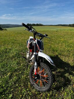 Pitbike Kayo TD125 - 8