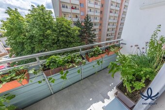 Prodej bytu 3+1, Palackého ulice, Mladá Boleslav, - 8