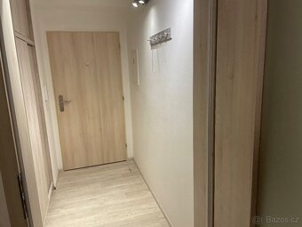 Pronájem bytu - 8