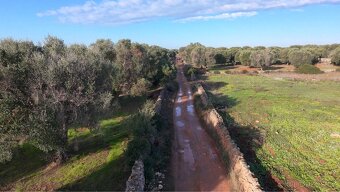 Pozemek u moře na jihu Itálie - 8