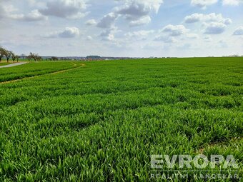 Prodej pozemků o celkové rozloze 27281 m² - 8