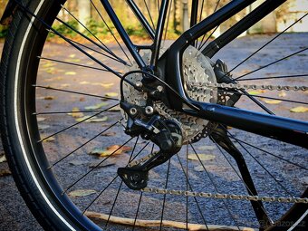 E-bike Diamant Zouma Deluxe+ - 8