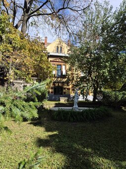 Vila v Budapešti - 8