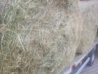 Seno kulaté balíky ze Šumavy - 8