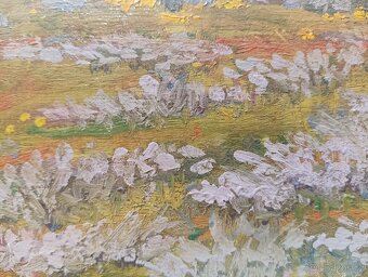 HRBEK OBRAZ OLEJ NA KARTONU - 8