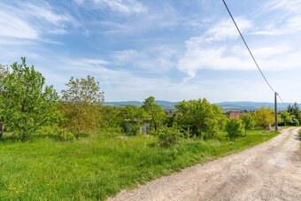 PRODEJ POZEMKU UHERSKÝ BROD, VINOHRADY - 8