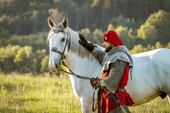 Starokladrubský valach na prodej - 8