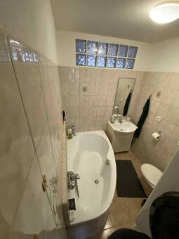 Pronájem bytu 2+1 - 8