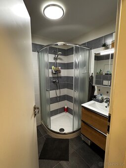 Pronájem bytu 2+kk • 50,7 m², vybavený - 8