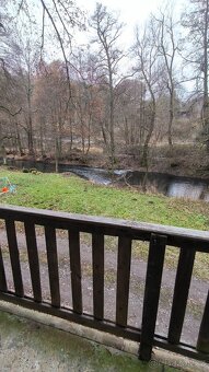 Chata na prodej Plasy - u řeky - 8