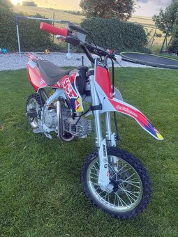 Pitbike YCF Pílot SF 155 - 8
