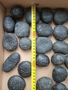 Tektity Vietnam Obří kolekce 7,85kg - 8