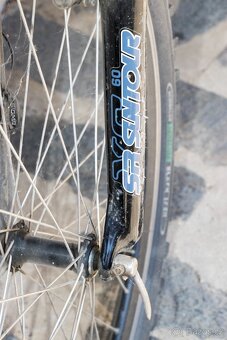 MTB Panther 21,5“ - 8