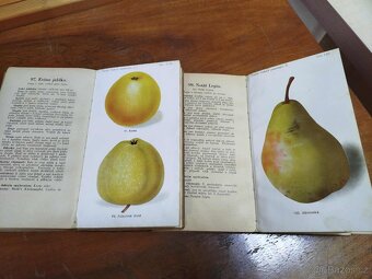 Lidová pomologie 1935 I. díl JABLKÁ 100 nejdůležitejších odr - 8