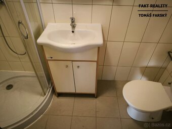 Pronájem bytu 1+kk, 19m2, Teplická, Děčín - 8