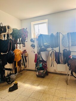 Nabízíme ustájení koně okr. Uherský Brod - 8