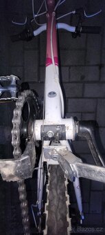 Dospele kolo Pell's - 8