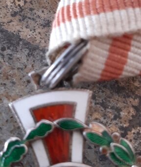 RU Stříbrný Červený kříž za zásluhy o Červenýkříž, FJI - 8