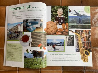 Aspekte Lehrbuch 2 - 8