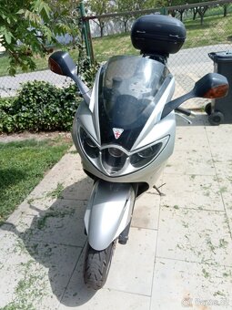 Triumph - 8