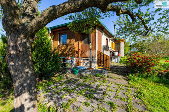 Prodej zahrady 418 m2 s chatou 18 m2 - 8