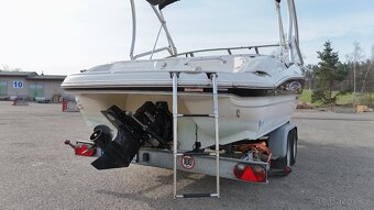 STINGRAY 225CR - 8
