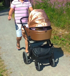 Tako Corona dvojkombinace - 8