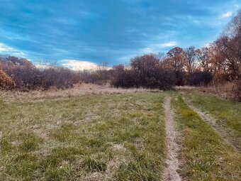 Pozemok - Lúka, Malé Leváre, 26 385 m² - 8