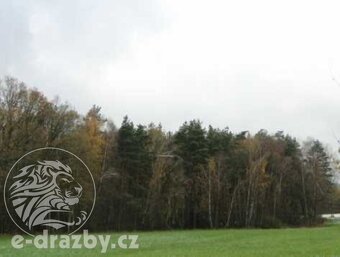 Pozemky - ostatní plocha 49 617 m2 , obec Vlašim, okr. Beneš - 8
