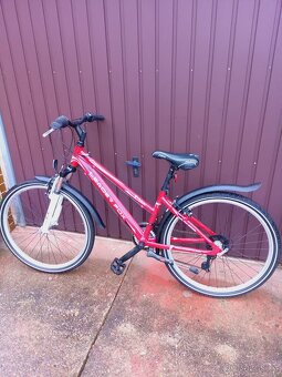 Kolo dámské 26 - 8