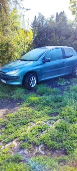 Peugeot 206 - 8