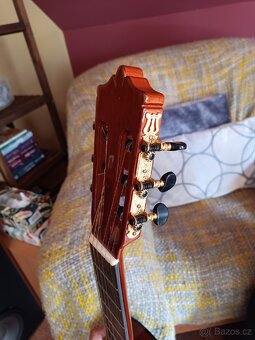 Kytara Martinez Minyard Guitars - 8