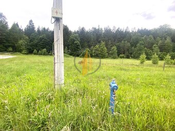 Prodej stavebního pozemku uprostřed přírody a blízkosti lesa - 8