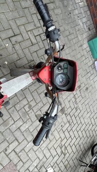 Puch - 8
