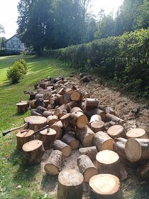 Údržba zahrad, lesů, domů i bytů - hodinový manžel - 8