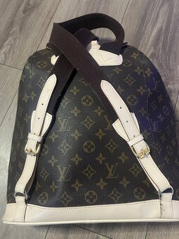 louis vuitton canavas bagpag - 8