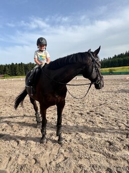 valach a1/1 do sportu/aktivni rekre - 8