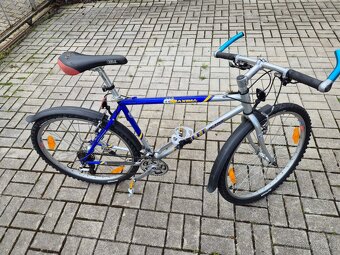 AMULET MAXIMA 19" - 8