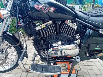 Kawasaki VN 800 - 8
