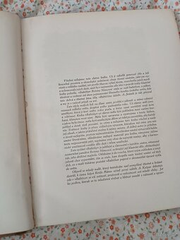 Babička (Obrazy venkovského života) - 8