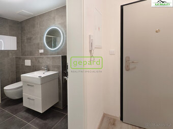 Pronájem bytu 1+kk 32,60 m² Vysoká, Plzeň - Litice - 8