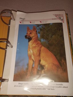 Encyklopedie zvířat - 8