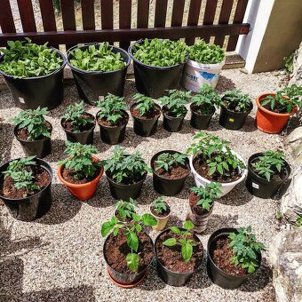 Truhluiky aj na zahradku - 8