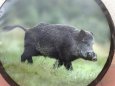 pinnin, pajero - kryt na rezervu kolesa - 8