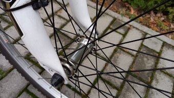 Leader Fox, chlapecké kolo - 8