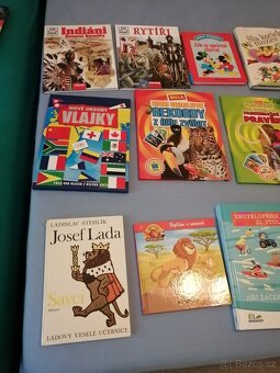dětské knížky - úklid knihovničky - 8