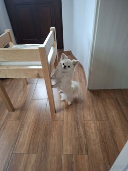 Pelech-pelíšek pro psa - 8