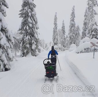Thule Chariot Sport - 8